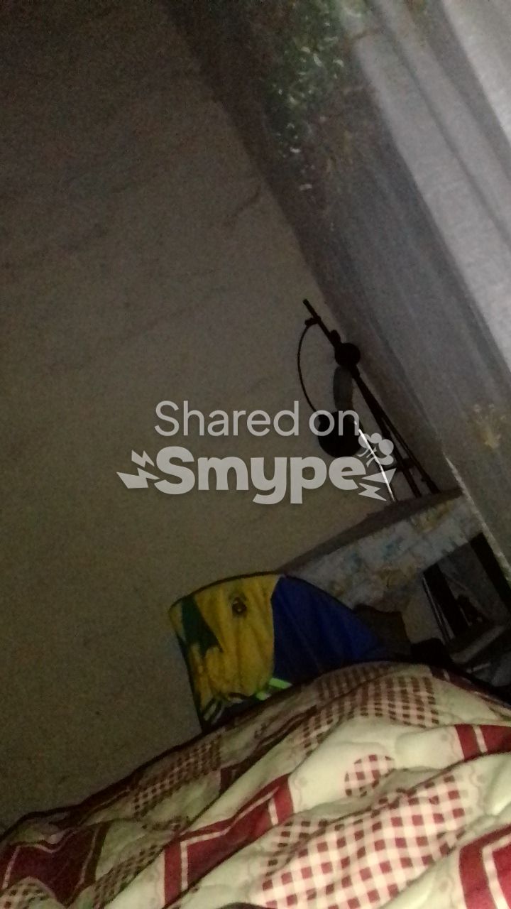 Image included in user post